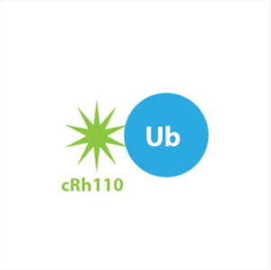 cRh110-Ub