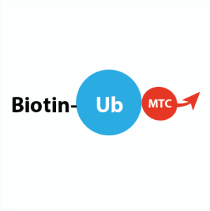 Biotin-Ahx-Ub-MTC