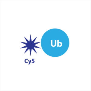 Cy5-Ub