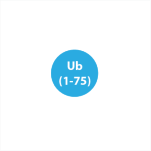Ubiquitin (1-75)